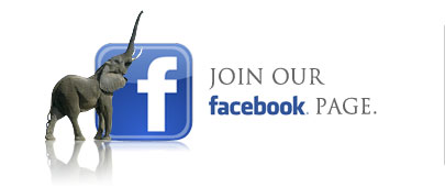 Join our Facebook Page