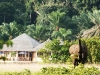 Loango Lodge with Elephant