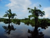 Akaka Bush Camp - environment