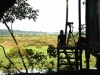 Akaka Bush Camp - viewing platform