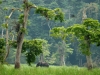 Akaka Bush Camp - environment