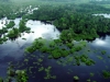 Loango National Park - wetlands